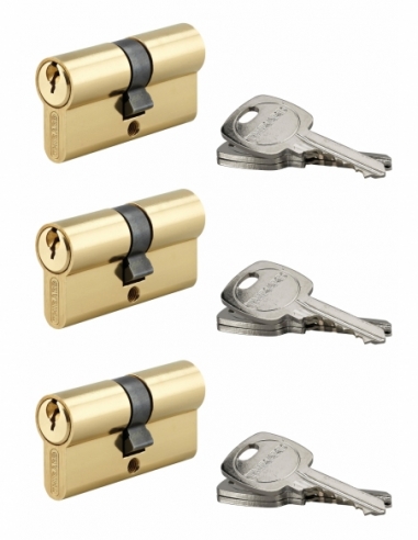 Lot de 3 cylindres de serrure double entrée STD, 30x30mm, s'entrouvrant, laiton,3 clés/cylindre - THIRARD FBA