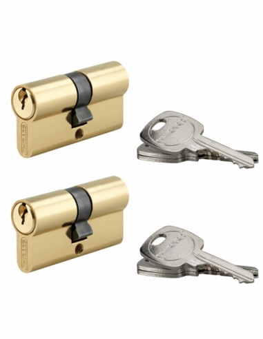 Lot de 2 cylindres de serrure double entrée STD, 30x30mm, s'entrouvrant, laiton,3 clés/cylindre - THIRARD FBA