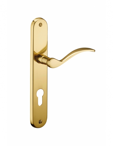 Ensemble de poignées pour porte d'entrée Marianne trou de cylindre, carré 7mm, entr'axes 195mm, laiton poli - THIRARD FBA
