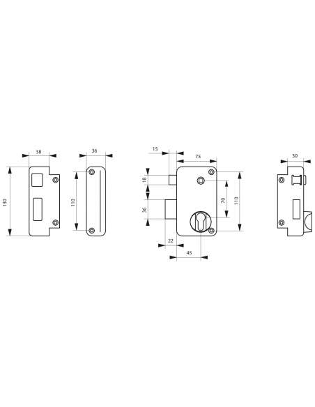 Boitier de serrure verticale en applique double entrée à fouillot pour entrée, gauche, axe 45mm, 75x130mm, noir - THIRARD FBA