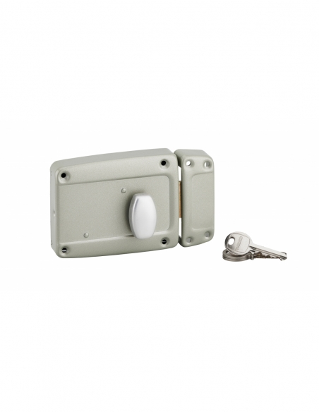 Serrure en applique à bouton pour porte latérale à battant, poignée, droite, 120x90mm, axe 40mm, gris, 3 clés - THIRARD FBA