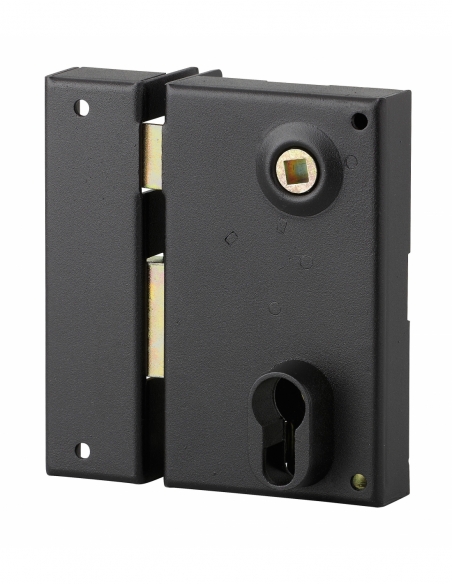 Boitier de serrure verticale en applique double entrée à fouillot pour entrée, gauche, axe 45mm, 73x125mm, noir - THIRARD FBA