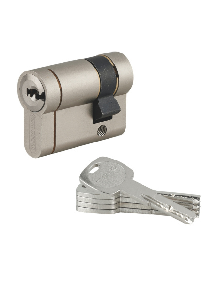 Demi cylindre de serrure Transit 1 UNIKEY (achetez-en plusieurs, ouvrez avec la même clé), 40x10mm, 5 clés, nickelé - THIRARD...