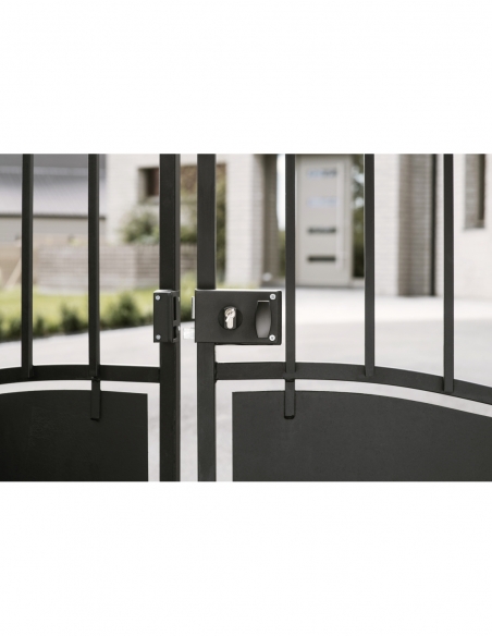 Boitier de serrure horizontale en applique double entrée à fouillot pour portail, gauche, axe 60mm, 140x88mm, noir - THIRARD FBA
