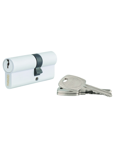 Cylindre STD double entrée, 40 x 40 mm anti-arrachement, blanc, 3 clés - THIRARD Cylindre de serrure