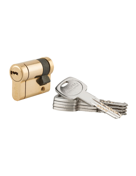 Demi-cylindre de serrure Trafic 12, 30x10mm, laiton, anti-arrachement, anti-perçage, anti-casse, 5 clés - THIRARD Cylindre de...