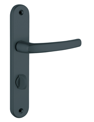 Ensemble de poignées à condamnation, pour porte d'entrée Sultane, carré 8mm, entr'axes 195mm, anthracite - THIRARD Poignée