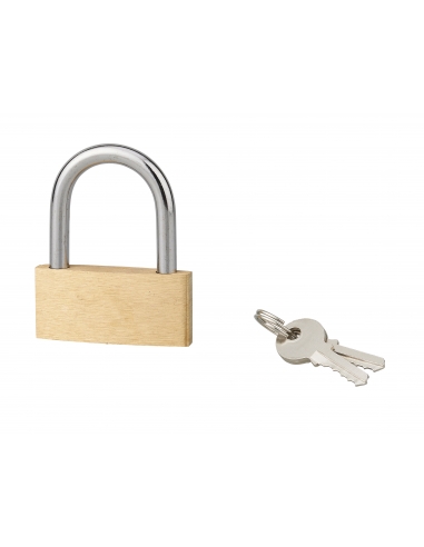 Cadenas BASIC à clé, base 50 mm, anse acier, 2 clés - SP Cadenas à clé