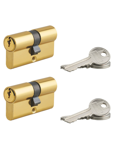 Lot de 2 cylindres de serrure double entrée Ecopro, 30x30mm, aluminium, anti-arrachement, 3 clés, laiton - SP Cylindres à dou...