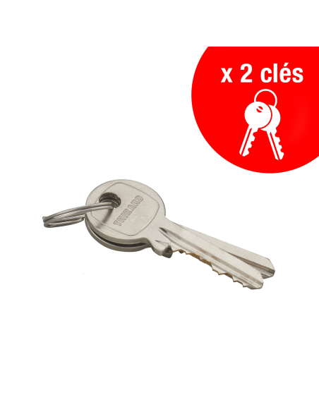 Cadenas à clé, extérieur, alu, 60mm, anse acier nickelé, 2 clés - THIRARD Cadenas à clé