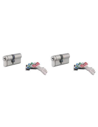 Lot de 2 cylindres de serrure double entrée T2, 30x30mm, s'entrouvrant, nickel,8 clés/cylindre - THIRARD Cylindres à double e...