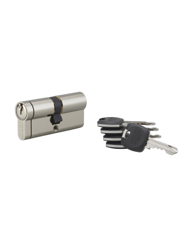 Cylindre de serrure double entrée HG5+, 45x45mm, nickel, anti-arrachement, anti-perçage, anti-casse, 5 clés - THIRARD Cylindr...