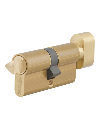 Cylindre à bouton triangle externe 11 profilé HG, laiton - THIRARD Cylindre de sûreté