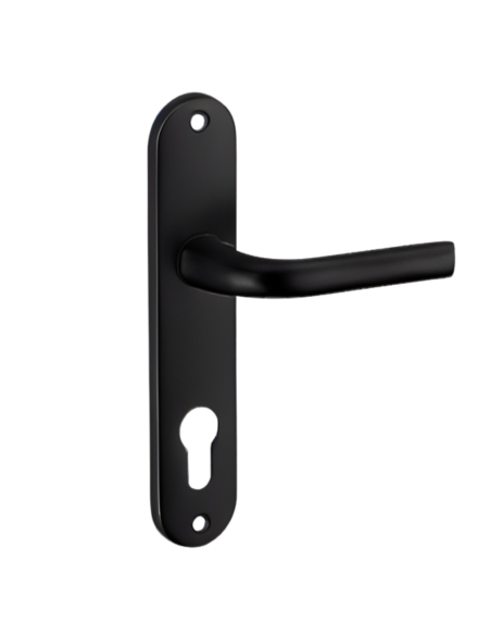 Ensemble de poignées pour porte d'entrée Leto trou de cylindre, carré 7mm, entr'axes 165mm, noir - THIRARD Poignée