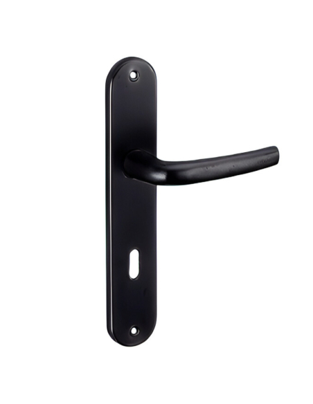 Ensemble de poignées pour porte intérieure Maia trou de clé, carré 7mm, entr'axes 195mm, noir - THIRARD Poignée