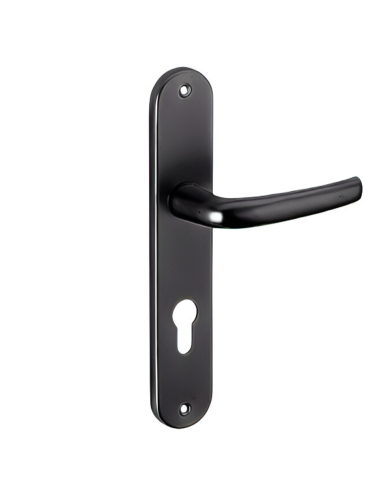 Ensemble de poignées pour porte d'entrée Maia trou de cylindre, carré 7mm, entr'axes 195mm, noir - THIRARD Poignée