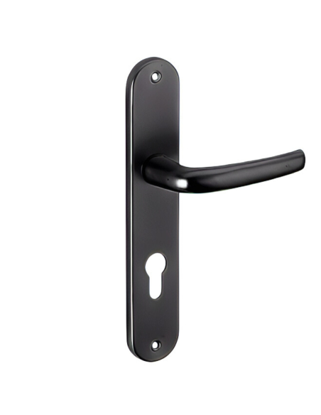 Ensemble de poignées pour porte d'entrée Maia trou de cylindre, carré 7mm, entr'axes 195mm, noir - THIRARD Poignée