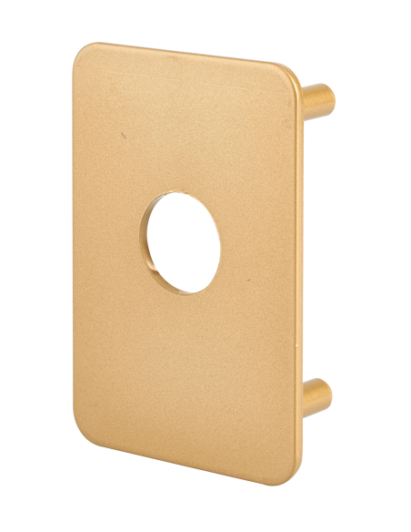 Plaque de renfort pour verrou Transit 2 et Capital, epoxy or - THIRARD Plaque de renfort
