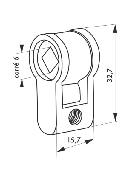Adaptateur à clé pour serrure à encastrer à cylindre profilé européen vers fonction à condamnation - THIRARD Accessoires de s...