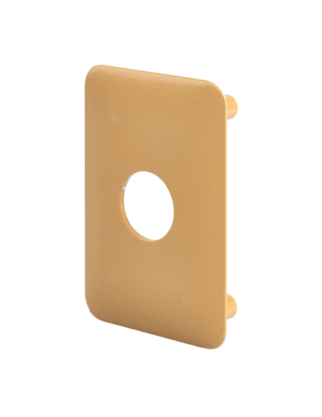 Plaque de renfort pour verrou Surveyor, fixation par vis, epoxy bronze - THIRARD Plaque de renfort
