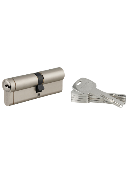 Cylindre de serrure débrayable Transit 1, 45x55mm, 5 clés, nickelé - THIRARD FBA
