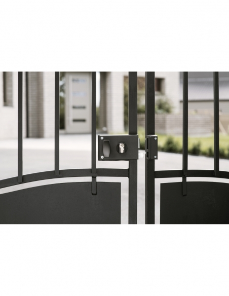 Boitier de serrure horizontale en applique double entrée à fouillot pour portail, droite, axe 60mm, 140x88mm, noir - THIRARD FBA