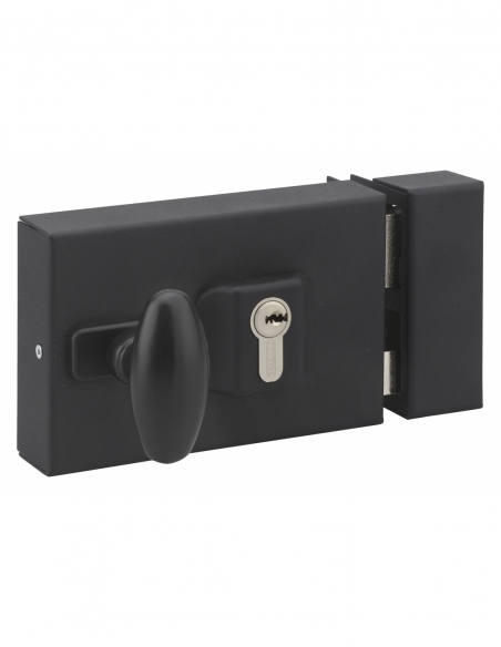 Boitier de serrure en applique double entrée à fouillot pour entrée, réversible, axe réglable, 144x93mm, noir - THIRARD FBA