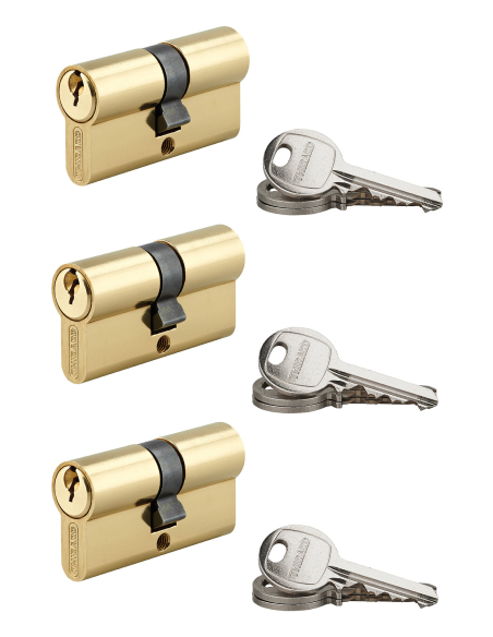 Lot de 3 cylindres SA laitonné, 30X30mm, s'entrouvrant, 9 clés - THIRARD FBA