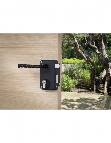 Boitier de serrure verticale en applique double entrée à fouillot pour entrée, droite, axe 45mm, 75x130mm, noir - THIRARD FBA
