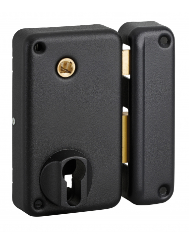 Boitier de serrure verticale en applique double entrée à fouillot pour entrée, droite, axe 45mm, 75x130mm, noir - THIRARD FBA