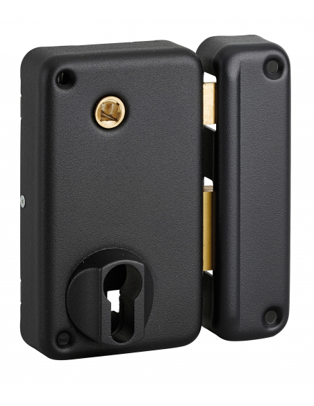 Boitier de serrure verticale en applique double entrée à fouillot pour entrée, droite, axe 45mm, 75x130mm, noir - THIRARD FBA