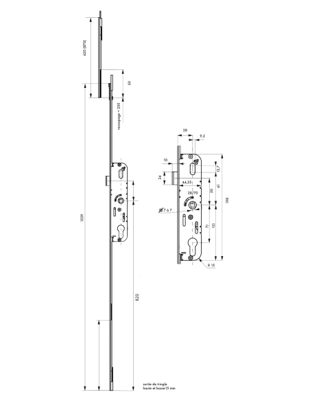 Boitier de serrure enc. Fenster à cylindre pour porte fenêtre, axe 25mm, 2pts, H. 1530mm, G-21266-18-L1 - FERCO by THIRARD Se...