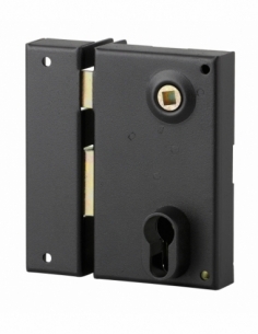 Boitier de serrure verticale en applique double entrée à fouillot pour entrée, gauche, axe 45mm, 73x125mm, noir - THIRARD STO...