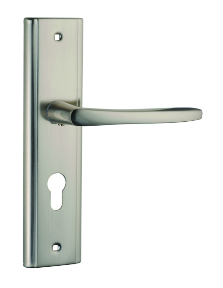 Ensemble de poignées pour porte d'entrée Eliade trou de cylindre, carré 8mm, entr'axes 170mm, nickel satin - THIRARD Poignée