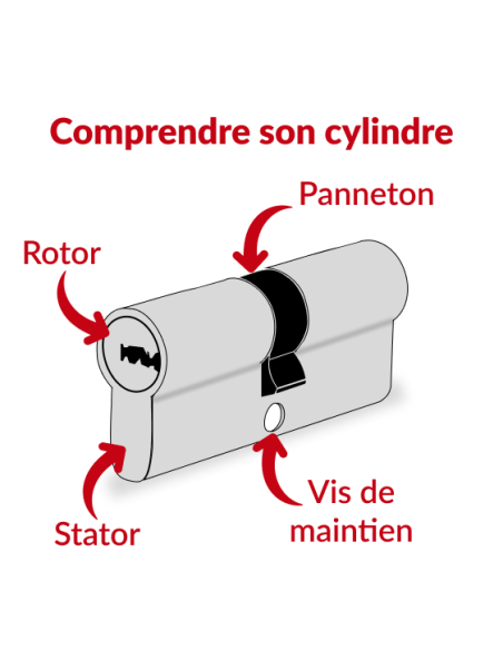 Cylindre de serrure double entrée Trafic 6, 30x70mm, nickel, anti-arrachement, anti-perçage, 5 clés - THIRARD Cylindre de ser...