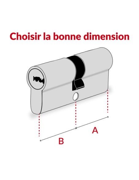 Cylindre de serrure double entrée Trafic 6, 30x70mm, nickel, anti-arrachement, anti-perçage, 5 clés - THIRARD Cylindre de ser...