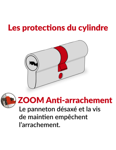Cylindre de serrure double entrée Trafic 6, 30x70mm, nickel, anti-arrachement, anti-perçage, 5 clés - THIRARD Cylindre de ser...