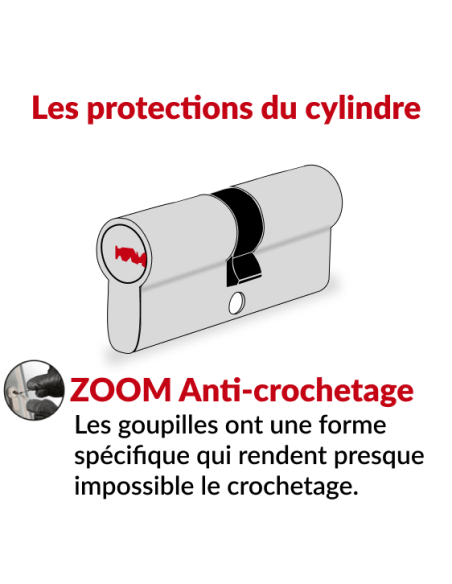 Cylindre de serrure double entrée Trafic 6, 30x70mm, nickel, anti-arrachement, anti-perçage, 5 clés - THIRARD Cylindre de ser...