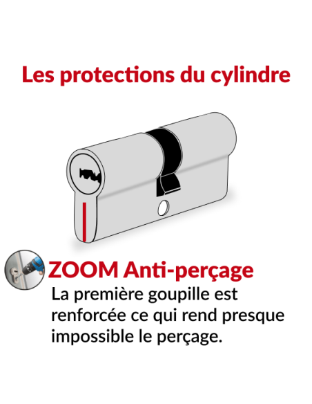Cylindre de serrure double entrée Trafic 6, 30x70mm, nickel, anti-arrachement, anti-perçage, 5 clés - THIRARD Cylindre de ser...