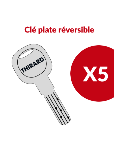 Cylindre de serrure double entrée Trafic 6, 30x70mm, nickel, anti-arrachement, anti-perçage, 5 clés - THIRARD Cylindre de ser...
