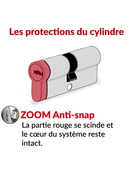 Cylindre de serrure double entrée Trafic 6, 30x70mm, nickel, anti-arrachement, anti-perçage, 5 clés - THIRARD Cylindre de ser...
