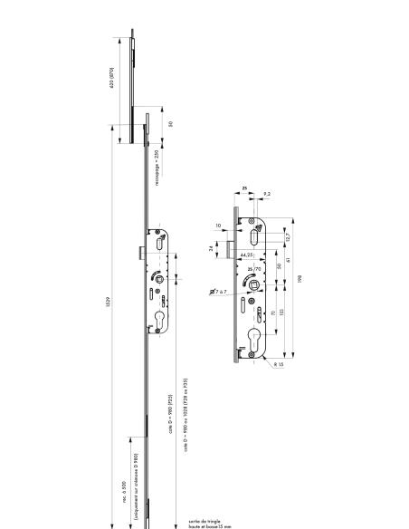 Boitier de serrure enc. Fenster à cylindre pour porte fenêtre, axe 25mm, 2pts, H. 1530mm, G-21266-18-L1 - FERCO by THIRARD FBA