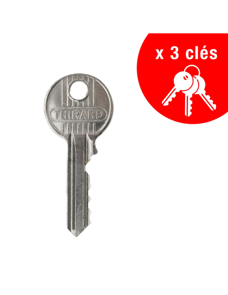 Serrure encastrable pour porte d'entrée avec cylindre en 30x30mm, axe 14mm, 3 clés - THIRARD Serrures encastrables