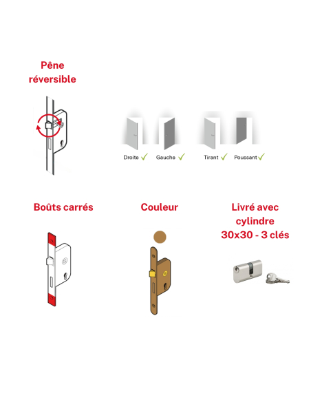 Serrure encastrable pour porte d'entrée avec cylindre en 30x30mm, axe 14mm, 3 clés - THIRARD Serrures encastrables