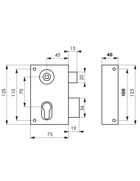 Boitier de serrure verticale en applique double entrée à fouillot pour entrée, droite, axe 45mm, 73x125mm, noir - THIRARD Ser...