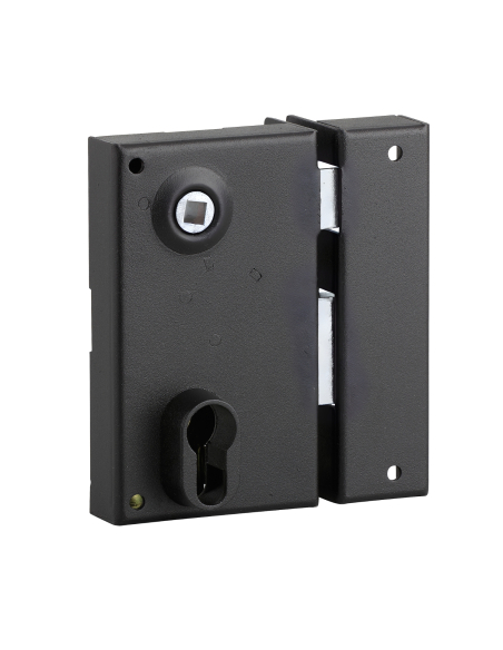 Boitier de serrure verticale en applique double entrée à fouillot pour entrée, droite, axe 45mm, 73x125mm, noir - THIRARD Ser...