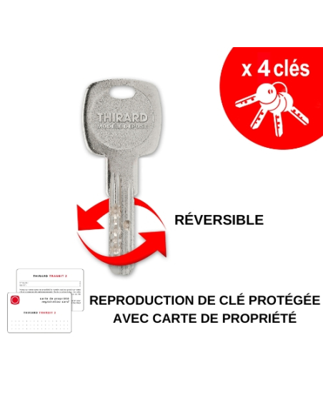 Serrure en applique 3 points Horga A2P* à fouillot, droite, 3pts, cyl 30x70mm, axe 70mm, marron, 4 clés - THIRARD Serrure 3 p...