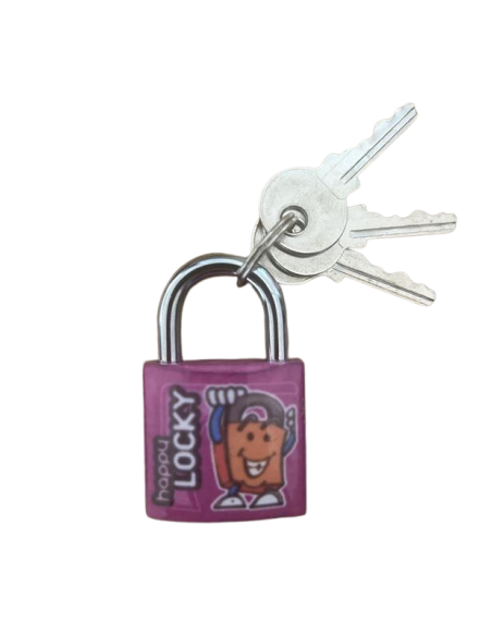 Cadenas BASIC à clé, base 30 mm, anse acier, 2 clés - SERRUPRIX Cadenas à clé