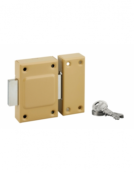 Verrou sans bouton Etendard pour porte de cave, cylindre 40mm, acier, 3 clés - THIRARD FBA