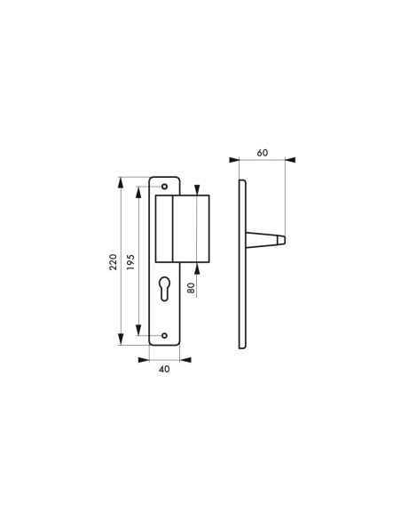 Poignée pour porte d'entrée palière renforcée Picardie trou de cylindre, carré 7mm, entr'axes 195mm, couleur champagne - THIR...
